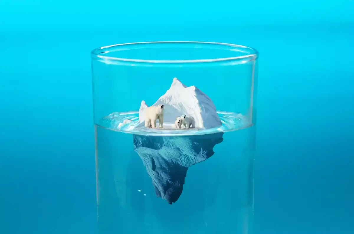 Iceberg showing a website's quoted price above its hidden running costs